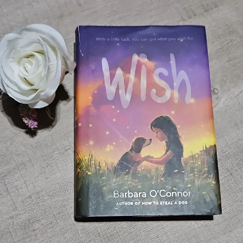 Wish by Barbara O'Connor Young Reader Novel